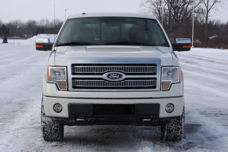  Ford F-150 Platinum 4x4 2009 года  (фото 7 из 48)